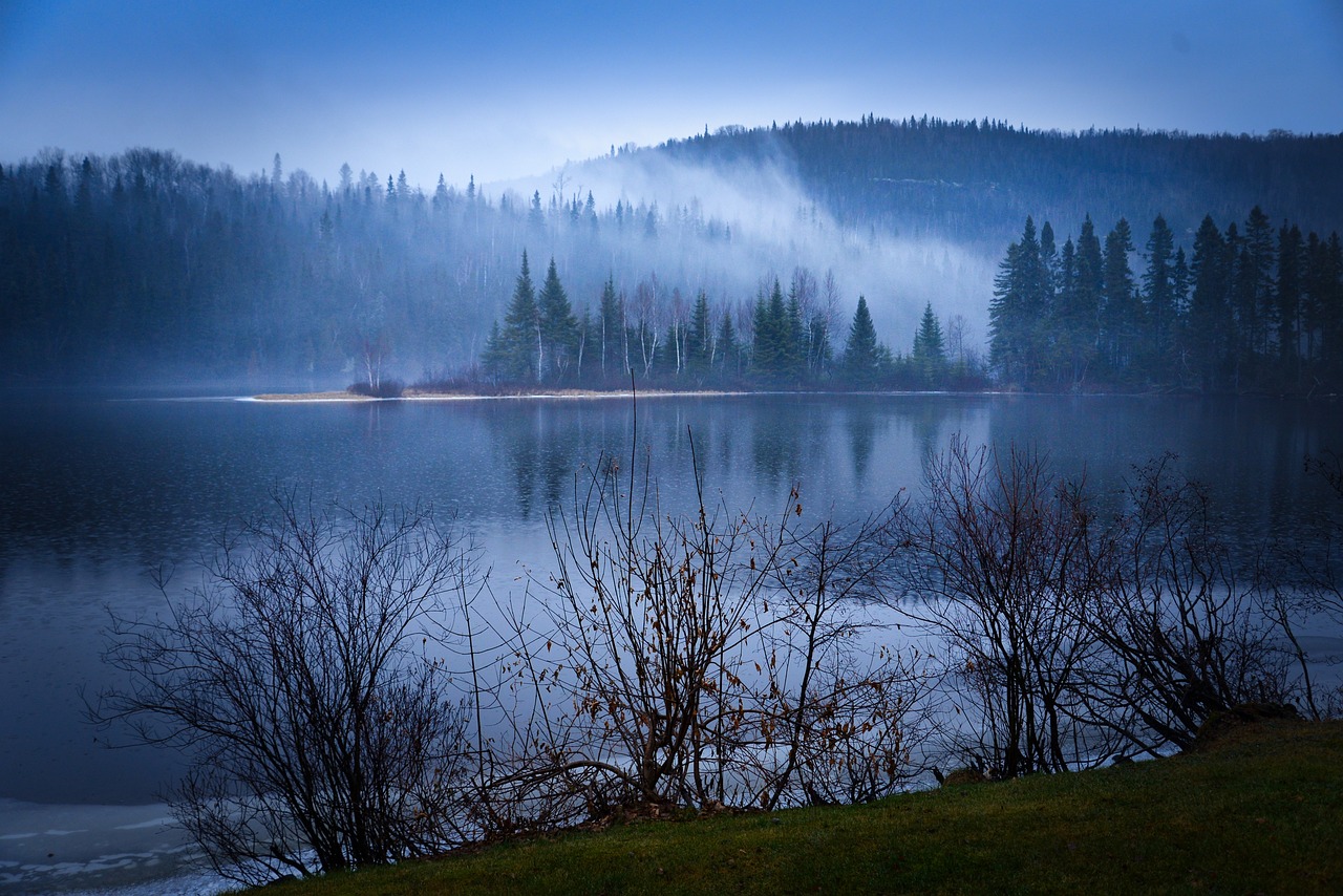 A Green Vista: The Integral Role of Biodiversity in Scenic Landscapes